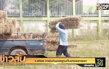 จ.พิจิตร ค่าฝุ่นเกินมาตรฐานเก็บฟางลดการเผา