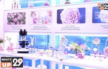 “NIVEA” จัดงาน “NIVEA Deodorant The Power of Hokkaido Rose Serum”