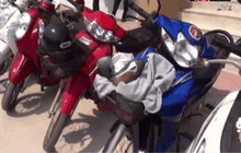 จ.พิษณุโลกจับเมาแล้วขับยึดรถเกือบ 30 คัน