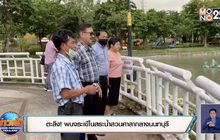 ตะลึง! พบจระเข้ในสระน้ำสวนศาลากลางนนทบุรี