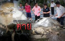 The Day News Update 07-10-59