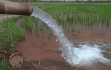 Motion News Break 3 (26-02-59)