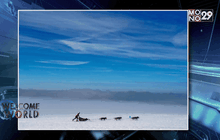 AP Photo : การแข่งขันสุนัขลากเลื่อน “ทรานส์-ทูรินเจีย”