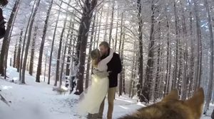 ชมคลิป งานแต่งงาน ที่น่ารักสุดขั้ว จากมุมมอง ของตากล้องน้องหมา