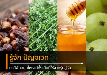 คุณย่ายังแนะนำ! รู้จัก ปัญจเวท ยาสีฟันสมุนไพรแท้ ดั้งเดิมที่ใช้กันจากรุ่นสู่รุ่น