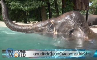 สวนสัตว์ญี่ปุ่นสร้างสระว่ายน้ำให้ช้าง