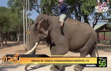 เร่งช่วย 91 ปางช้าง ขาดแคลนเสบียงจากพิษโควิด-19