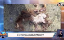 เร่งล่าคนฆ่าถลกหนังสุนัขเหลือแต่ซาก