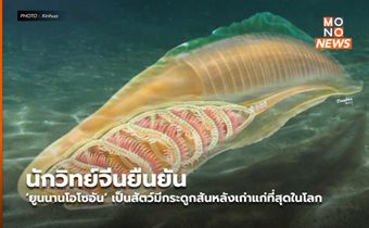 นักวิทย์จีนยืนยัน ‘ยูนนานโอโซอัน’ เป็นสัตว์มีกระดูกสันหลังเก่าแก่ที่สุดในโลก