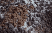 รอผลตรวจสอบสีย้อมผ้าในกะปิ 1 สัปดาห์