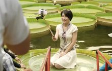 ผู้คนแห่ถ่ายภาพบนใบบัวยักษ์ในไต้หวัน