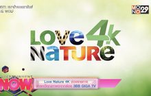 Love Nature 4K ช่องรายการสารคดีคุณภาพจากกล่อง 3BB GIGA TV