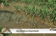 ปชช.เดือดร้อนจากปัญหาภัยแล้ง