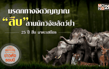 มรดกทางจิตวิญญาณ “สืบ” สานนักวิจัยสัตว์ป่า