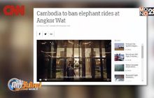 กัมพูชาแบนการขี่ช้าง