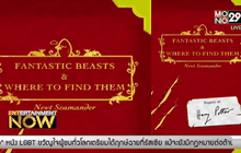 หนังภาคแยก Harry Potter ประกาศเปิดกล้อง!