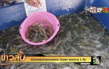 เปิดขายกุ้งช่วยเกษตรกร วันแรก ยอดทะลุ 3 ตัน