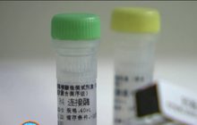 ยาต้านโคโรนาเริ่มทดลองใช้ในมนุษย์แล้ว