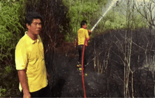 ไฟไหม้ป่าพรุตะกั่วป่าเสียหาย 100 ไร่