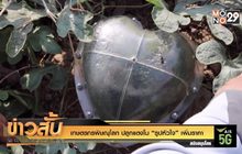 เกษตรกรพิษณุโลก ปลูกแตงโม “รูปหัวใจ” เพิ่มราคา