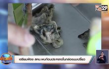เตรียมฟ้อง สคบ.พบก้อนประหลาดในกล่องนมเปรี้ยว
