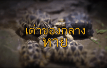 The Day News Update 08-06-59