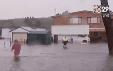 เหตุน้ำท่วมที่ออสเตรเลีย