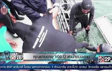 คุณยายอายุ 100 ปี ดำน้ำชมฉลาม