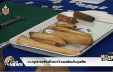 กรมอุทยานฯรับขึ้นทะเบียนงาช้างวันสุดท้าย