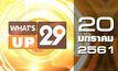 What’s up 29 20-01-61