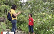 ชมความงามดอกไม้ป่าที่ภูหินร่องกล้า