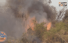 ไฟป่าลามไหม้สวนทุเรียนเสียหายกว่า 100 ล้าน