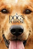 A Dog’s Purpose หมา เป้าหมาย และเด็กชายของผม