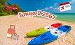 วันหยุด 2567 วันหยุดปีใหม่ วันหยุดราชการ วันหยุดพิเศษ
