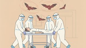 ด่วน! ‘ไวรัสนิปาห์’ ระบาดอินเดีย ร้ายแรงกว่าโควิด คาดต้นตอค้างคาวกินผลไม้