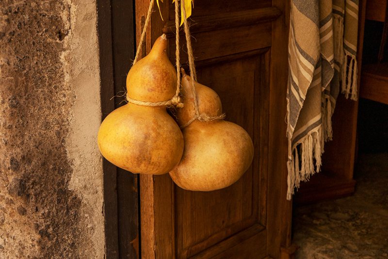 น้ำเต้าช่วยเรื่องอะไรในสายมู