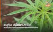 อนุทิน ปลื้มมาเลเซีย สนใจนโยบายกัญชาทางการแพทย์ของไทย