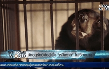 นักอนุรักษ์ต่อสู้เพื่อ”หมีควาย”ในเวียดนาม