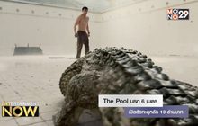 The Pool นรก 6 เมตร เปิดตัวทะลุหลัก 10 ล้านบาท