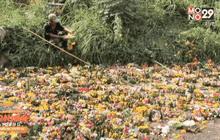 เร่งเก็บขยะกระทงหลังเทศกาลลอยกระทงในหลายพื้นที่