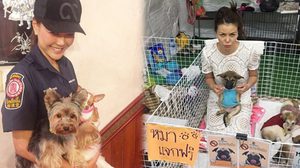 เก๋ ชลลดา นางฟ้าใจดี ของ น้องหมา ชีวิตนี้ขอทำดี ตราบจนลมหายใจสุดท้าย!!