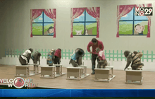 การแสดงลิงเตรียมต้อนรับปีวอกในเกาหลีใต้