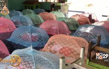 กางมุ้งให้นักเรียนป้องกันยุงลาย