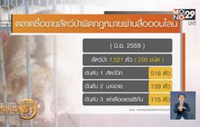 ลักลอบค้าสัตว์ป่า ปัญหาที่ยังคงอยู่