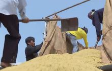 เสนอรัฐออกสินเชื่อชะลอการขายรักษาเสถียรภาพราคาข้าว