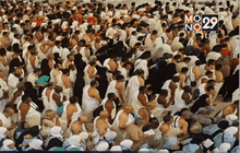 ชาวมุสลิมทั่วโลกเริ่มประกอบพิธีฮัจญ์