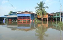 น้ำท่วมโรงชำแหละเนื้อสุกร จ.พิจิตร