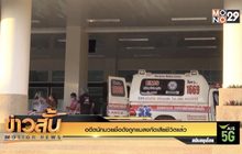 อดีตนักมวยชื่อดังถูกแมลงกัดเสียชีวิตแล้ว