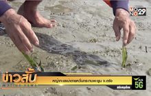 หญ้าทะเลเน่าตายหวั่นกระทบพะยูน จ.ตรัง