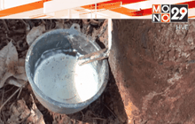 ชาวสวนยางจ.บุรีรัมย์ ร้องให้รัฐบาลช่วยเหลือ